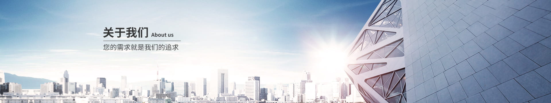 公司简介 Company profile